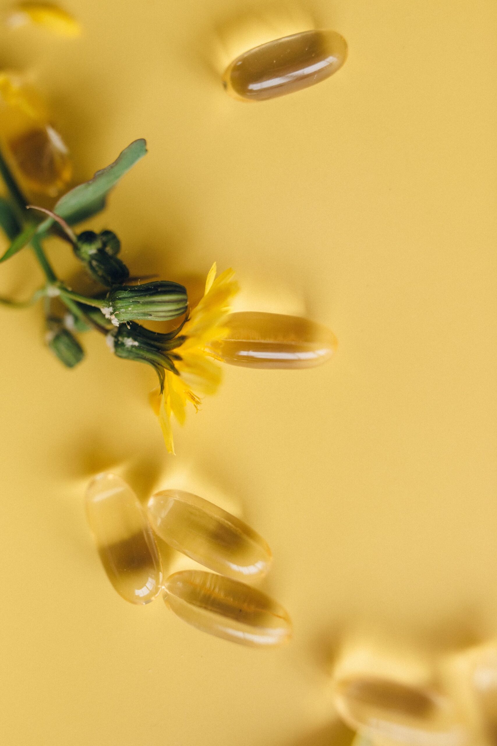 Fleur jaune et capsules sur fond doré